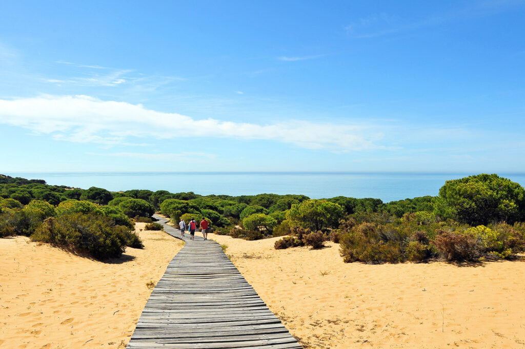 Cómo cuándo y dónde visitar el Parque Natural de Doñana