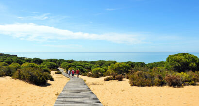 Cómo cuándo y dónde visitar el Parque Natural de Doñana