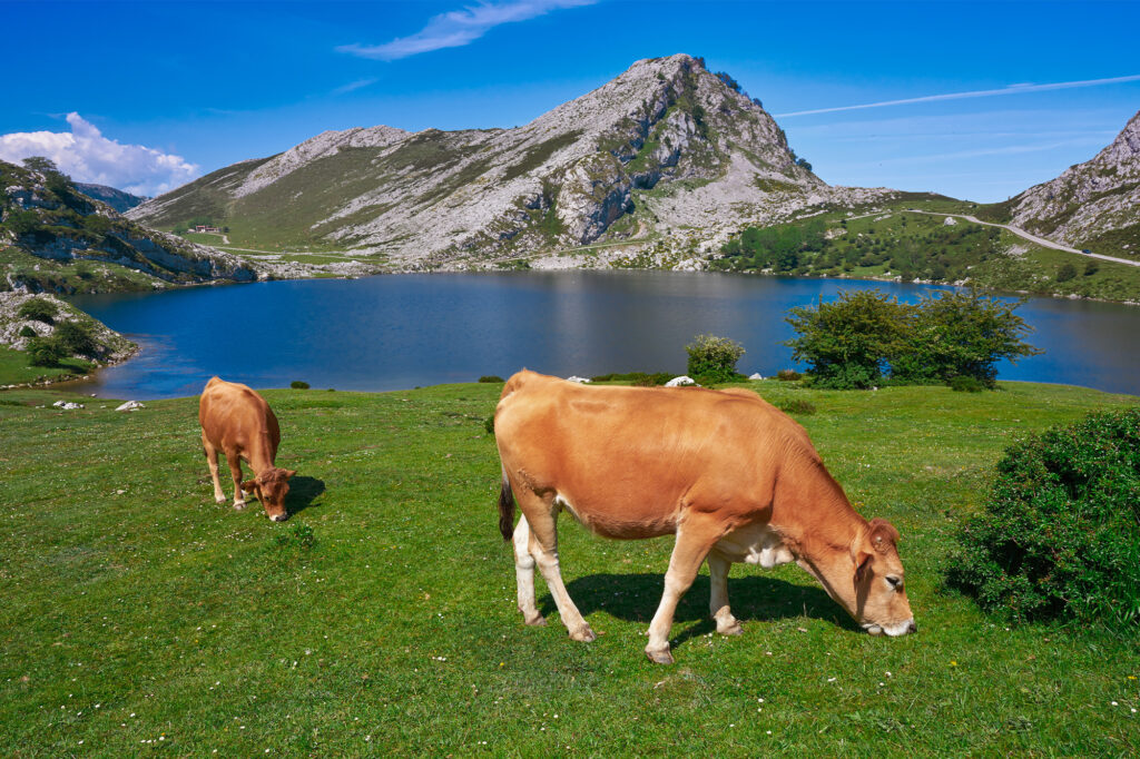 5 lugares desconocidos y con encanto en Asturias