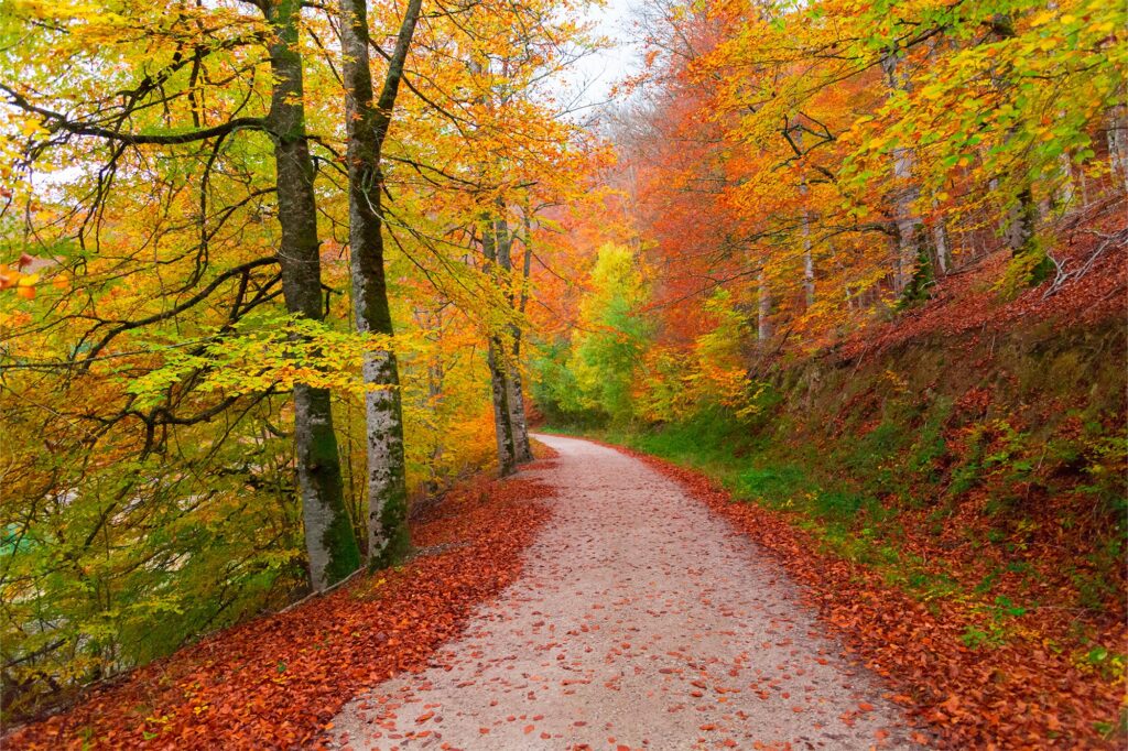 Los 5 mejores paisajes de otoño para fotografiar