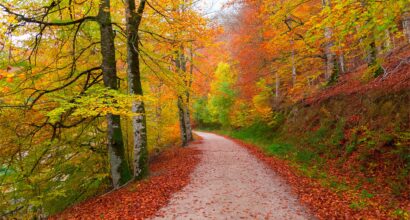 Los 5 mejores paisajes de otoño para fotografiar