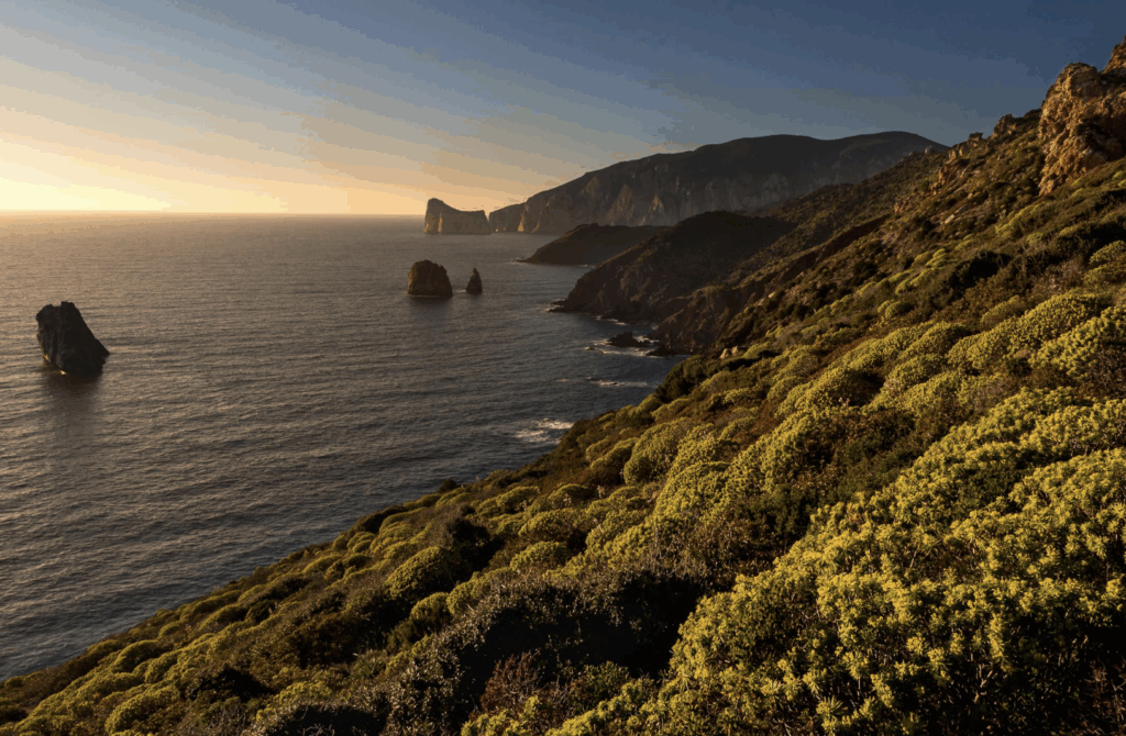 escapadas_en_ferry_a_mallorca_o_cerdeña_desde_barcelona_o_valencia