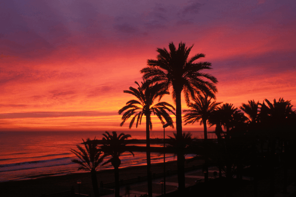 festival-cine-Sitges